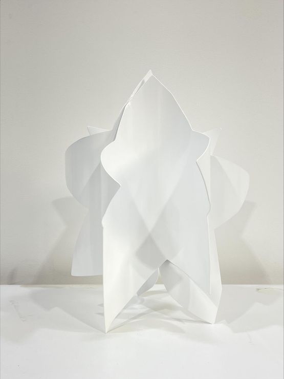 Dancing Star 20211216 by Wonwoo Lee contemporary artwork Sculpture