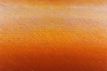 Contemporary art exhibition Group Exhibition The Space Around Us at Sundaram Tagore Gallery London United Kingdom