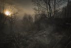 11798-4159 by Todd Hido contemporary artwork Photography