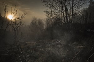 Todd Hido