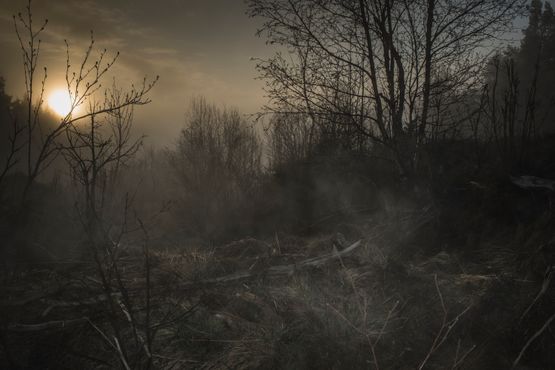 11798-4159 by Todd Hido contemporary artwork Photography
