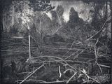 Ijen setelah Kebakaran  Ijen after fire by Maryanto contemporary artwork painting