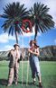 O Oahu Wakiki Hawai 1996 by Mondrian Fanclub david Medalla Adam Nankervis contemporary artwork Photography
