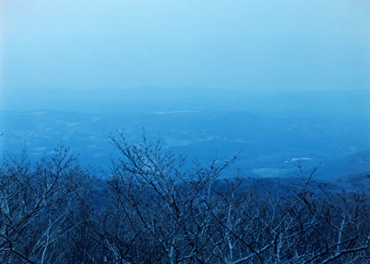 TOMOKI IMAI