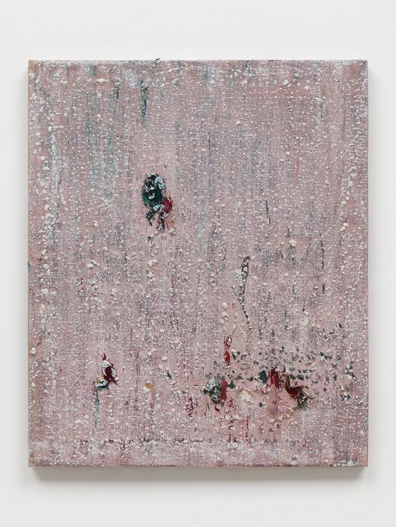 Taturana by Marina Rheingantz contemporary artwork Painting