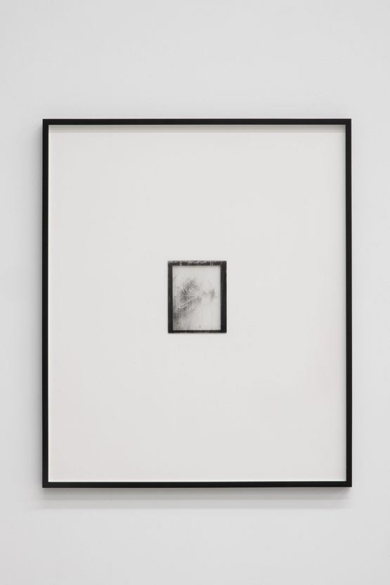 Untitled by He Xiangyu contemporary artwork Photography