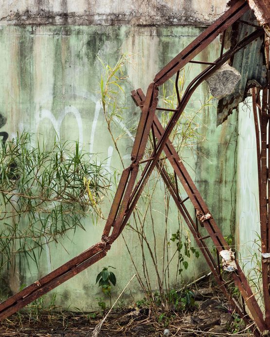 Abandoned Tourist Attraction Palmdale by Anastasia Samoylova contemporary artwork Photography