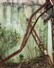 Abandoned Tourist Attraction Palmdale by Anastasia Samoylova contemporary artwork Photography