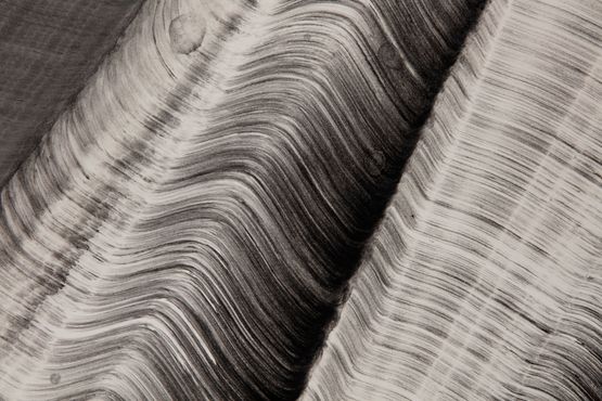 Brushstroke detail by Lee Bae contemporary artwork Works on Paper