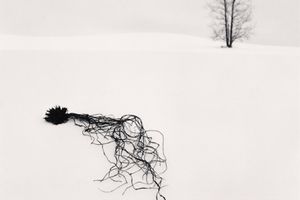 Michael Kenna