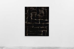 Leonardo Anker Vandal