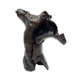 Musical Torso by Antonio Mak contemporary artwork sculpture