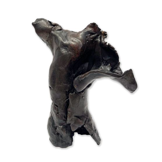 Musical Torso by Antonio Mak contemporary artwork Sculpture
