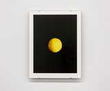 Venus XXY by Alicia Frankovich contemporary artwork photography