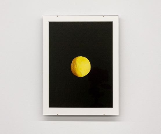 Venus XXY by Alicia Frankovich contemporary artwork Photography