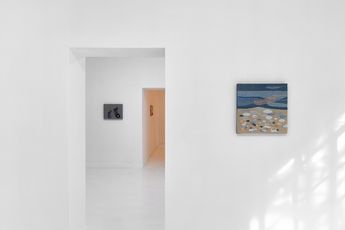 Miranda Fengyuan Zhang contemporary artist