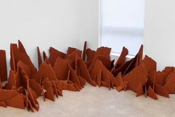 Delcy Morelos contemporary artist