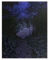 The Discovery II by Bruno Gadenne contemporary artwork painting