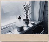 Plant by James White contemporary artwork painting