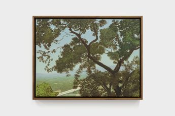 Jake Longstreth contemporary artist