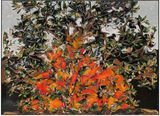 Magnolia by Ugo Schildge contemporary artwork mixed media