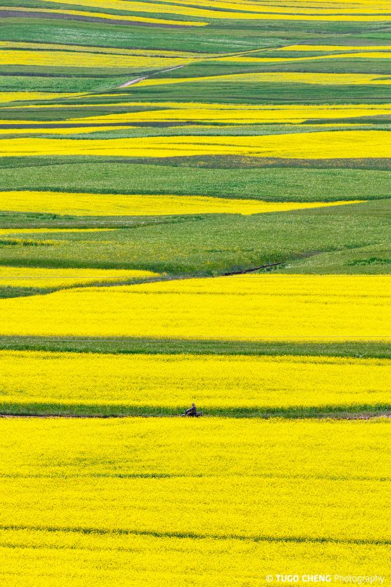 Qinghai 5 Water and Earth China by Tugo Cheng contemporary artwork Photography