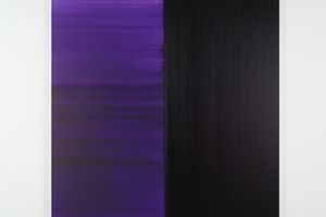 Callum Innes