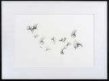 Sets of straight lines by Frieder Nake contemporary artwork drawing works on paper