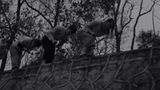 With Light With Shadow by Chen Qiulin contemporary artwork moving image