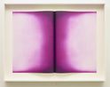 Fold IV by Anish Kapoor contemporary artwork Print