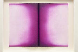 Anish Kapoor