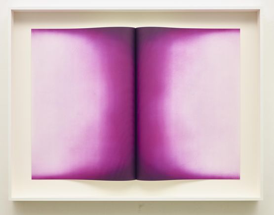 Fold IV by Anish Kapoor contemporary artwork Print