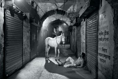 Dubai Lowdown Exhibitions to See in 2021