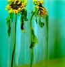 Blue Withers by Ziad Antar contemporary artwork Photography