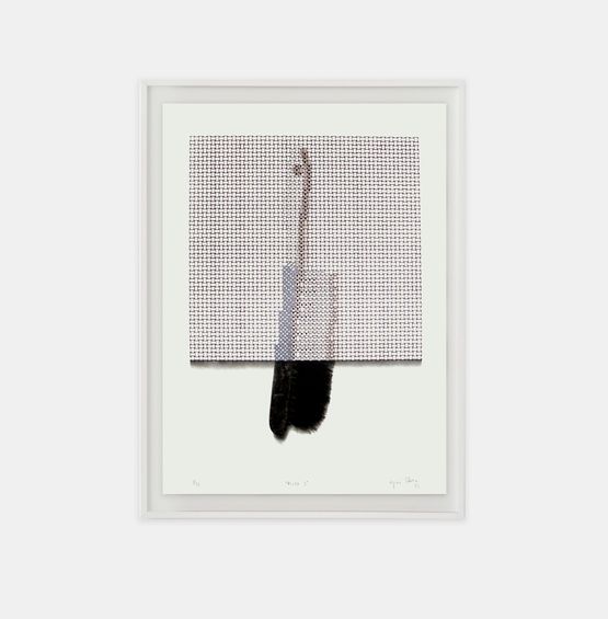 Risco 3 by Regina Silveira contemporary artwork Works on Paper