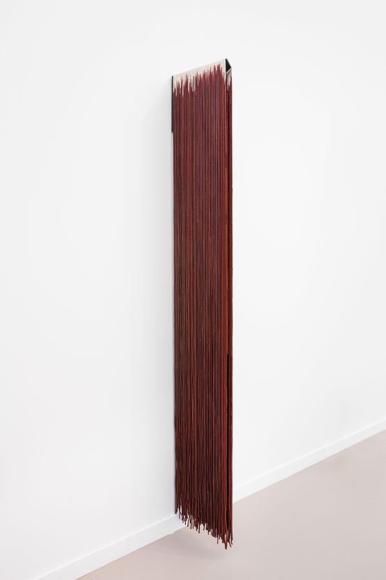 Organized Salt Water Agua salada organizada by Delcy Morelos contemporary artwork Sculpture