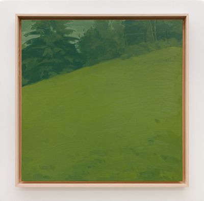 Will Gabaldons Verdant Scenery at Various Small Fires