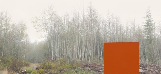 Counterbalance 1 by Bill Anderson contemporary artwork Photography