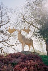 The Homely Crystal Palace Park by Gavin Hipkins contemporary artwork photography