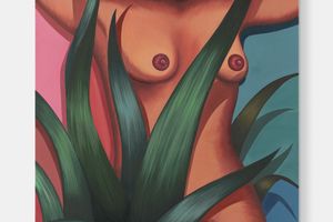 Julie Curtiss