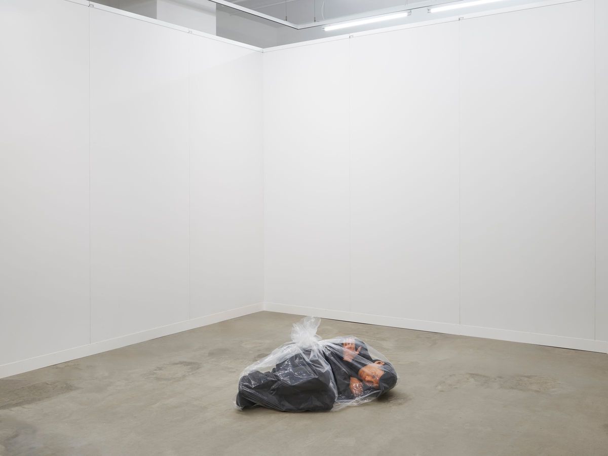 Josh Kline, 'Social Media' at Lisson Gallery, 508 West 24th Street