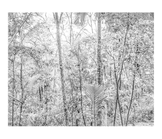 Untitled 9 from the series Paysages Sri Lanka by Gilbert Hage contemporary artwork Print