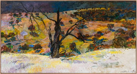 Slow water and the rufous songlark Bibbaringa 3 by John Wolseley contemporary artwork Painting
