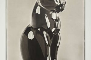 Nihura Montiel