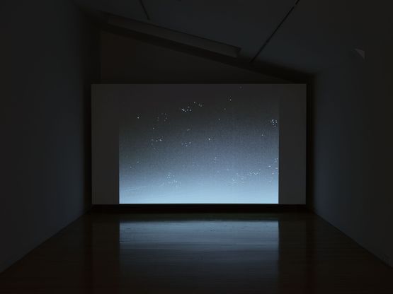 Follow your nose by Conor Clarke contemporary artwork Moving Image