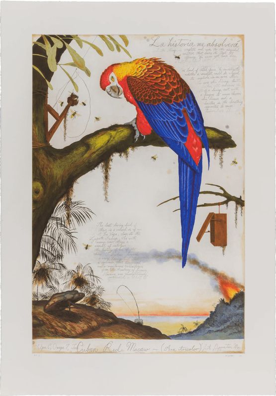 La Historia Me Absolvera by Walton Ford contemporary artwork Print