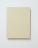 Monoprint - pale ochregreen 2 by Noel Ivanoff contemporary artwork Painting