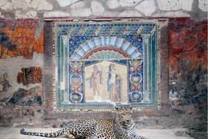 Karen Knorr