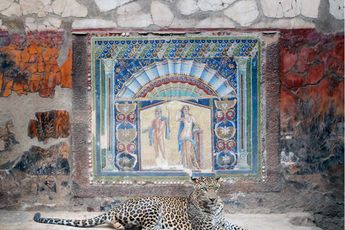 Contemporary art exhibition Karen Knorr INTERSECTIONS at Sundaram Tagore Gallery New York New York United States