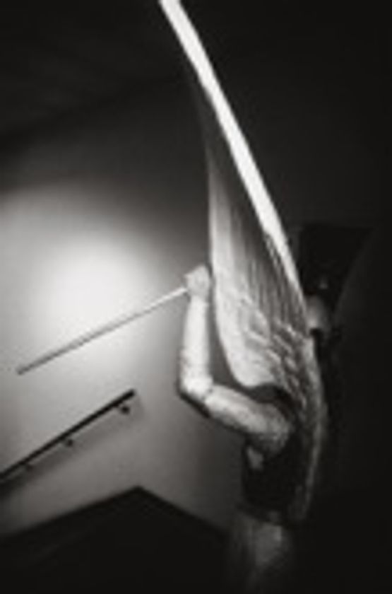 Wing of Saint Michael by Anne Noble contemporary artwork Photography